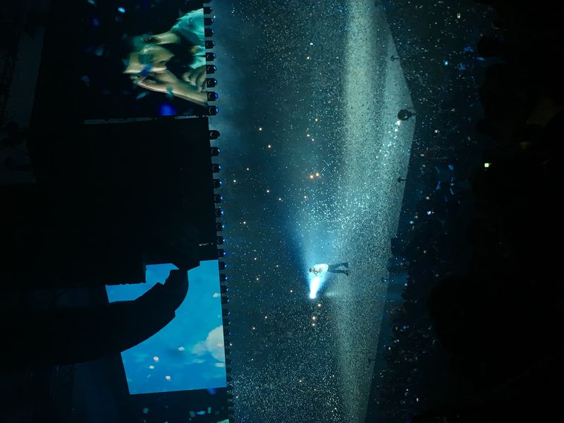 Drake performing at Madison Square Garden